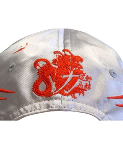 Michael Schumacher DVAG Driver Cap 2011 - Image 5